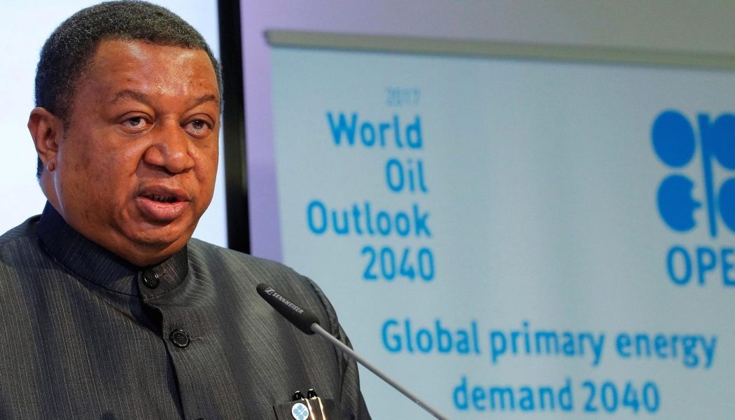 OPEC warns Trump’s trade policies could slow economic growth and dent oil demand
